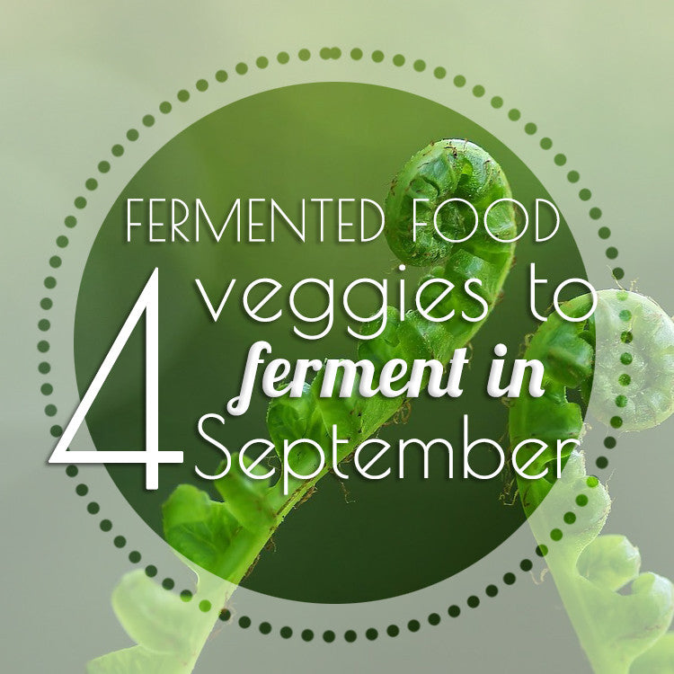 4 Veggies to Ferment for Fall