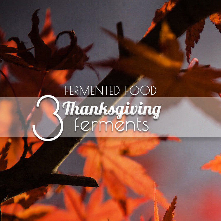 3 Things to Ferment for Thanksgiving