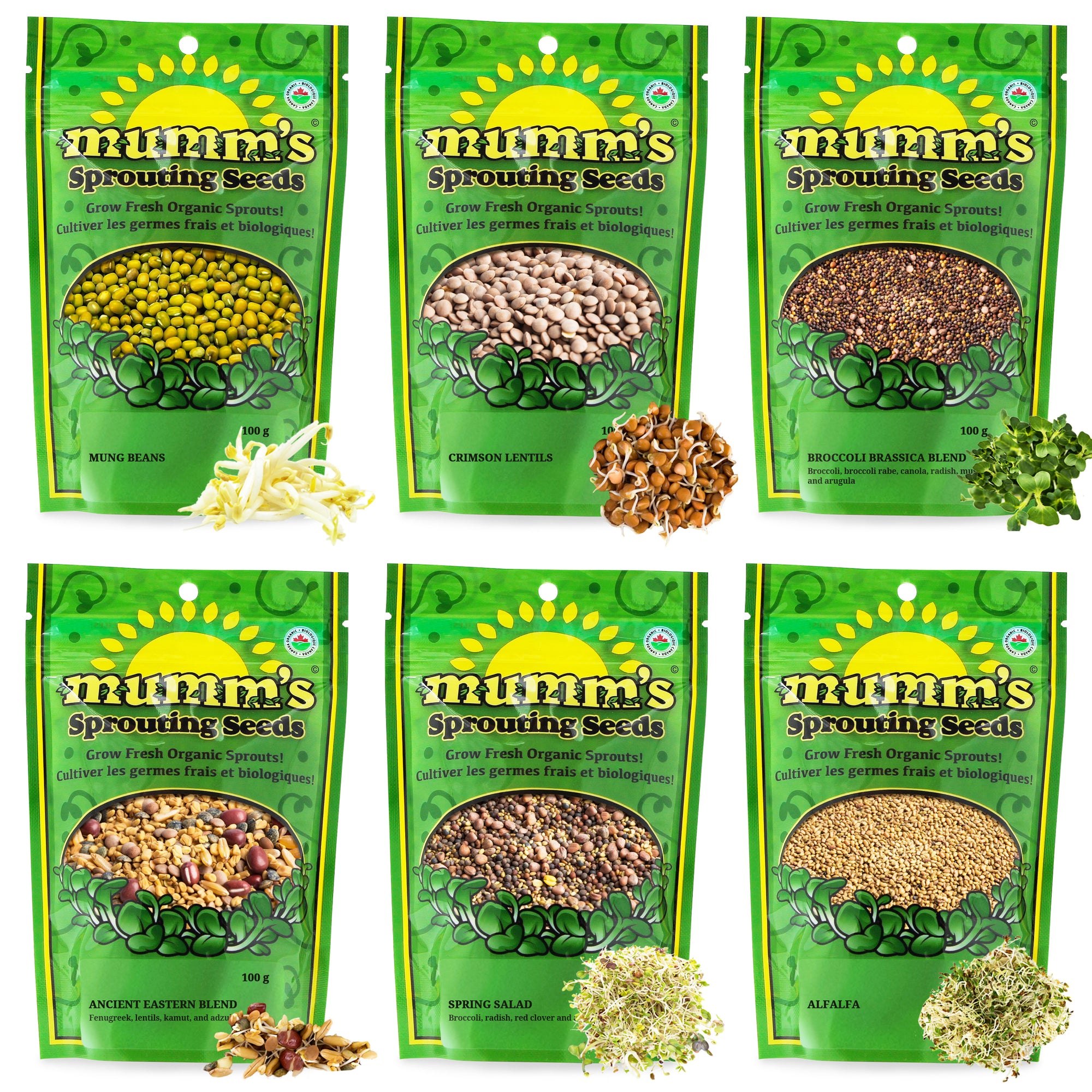 set of 6 packets of sprouting seeds and beans
