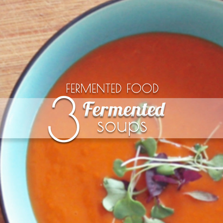 3 Fermented Soup Recipes