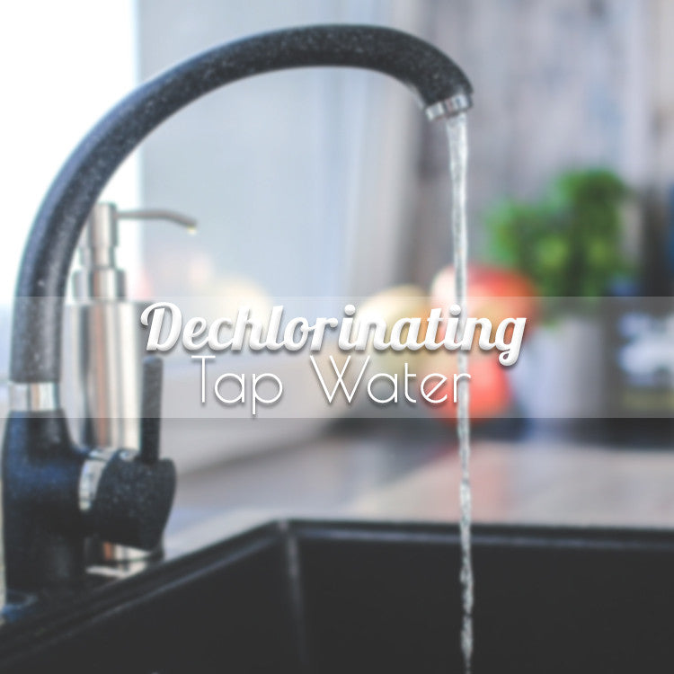 3 Easy Ways to Dechlorinate Tap Water