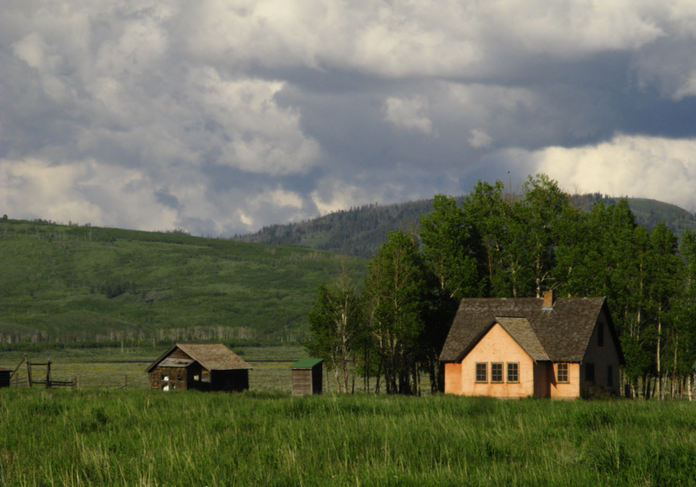 7 Easy Ways To Start Homesteading In 2021