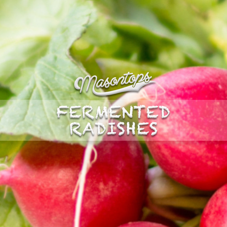 Fermented Raddish Lacto-Fermented Radish Recipe - Masontops.com