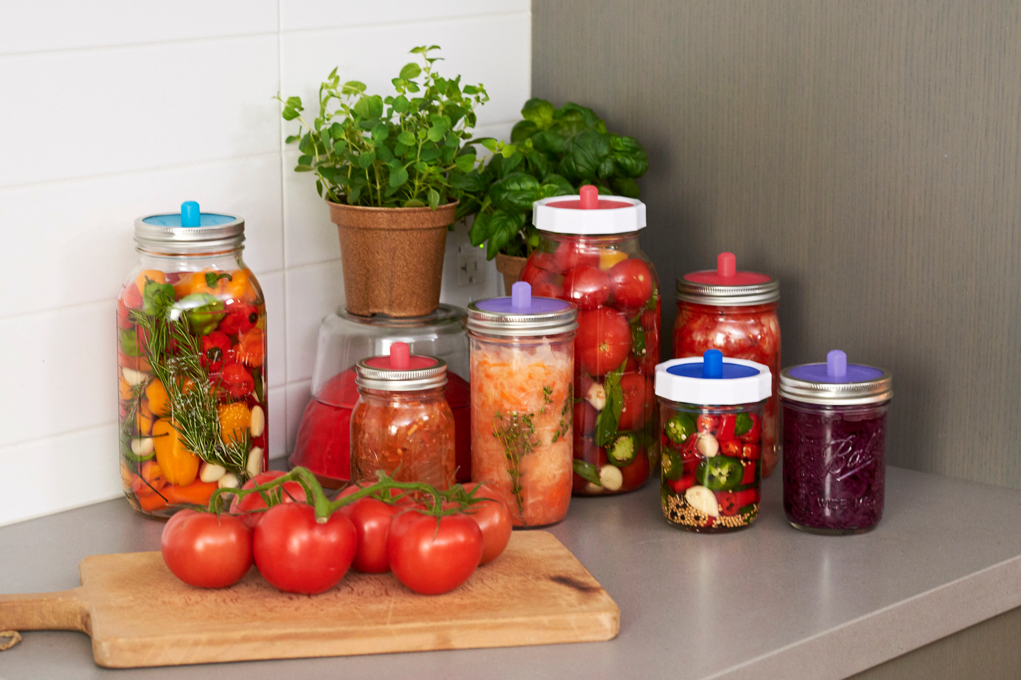 Top 6 Reasons to Learn Fermenting