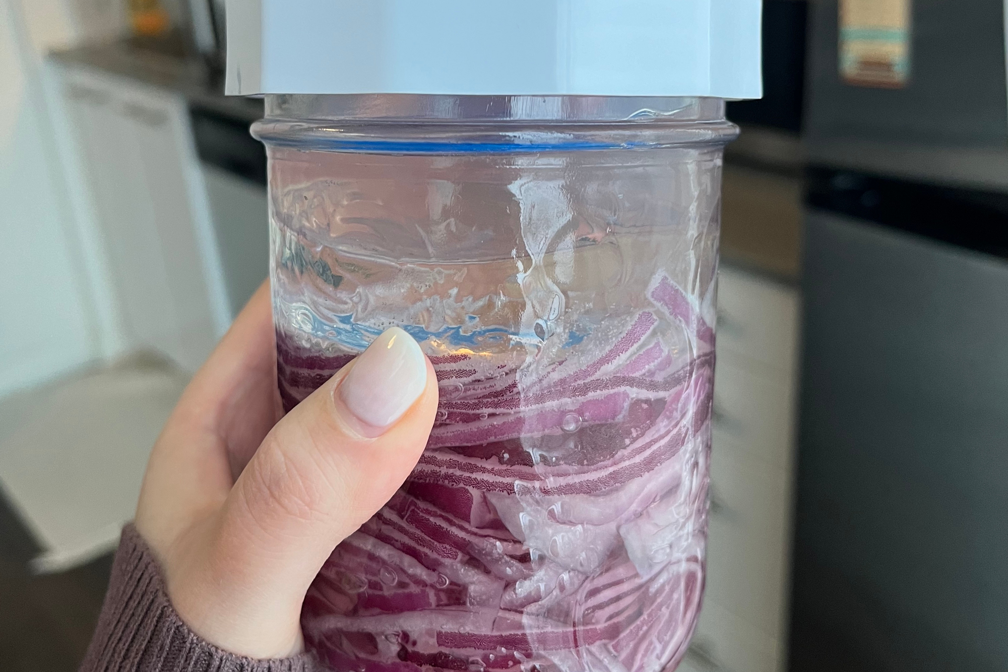 Fermented Red Onions