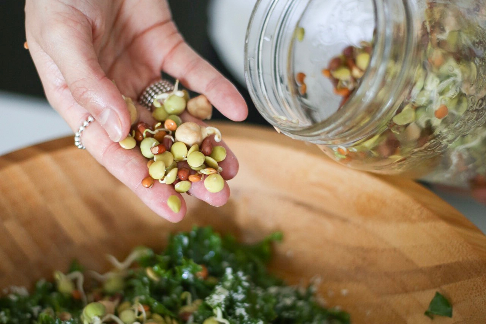 High Protein Sprouts - Sprouted Legumes!