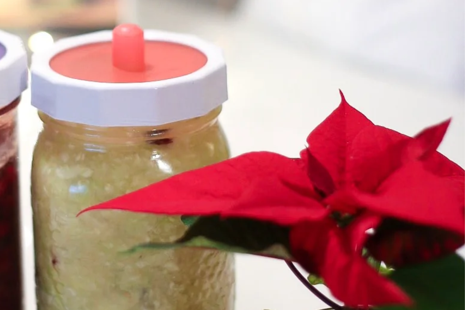 Christmas Cranberry Sauerkraut