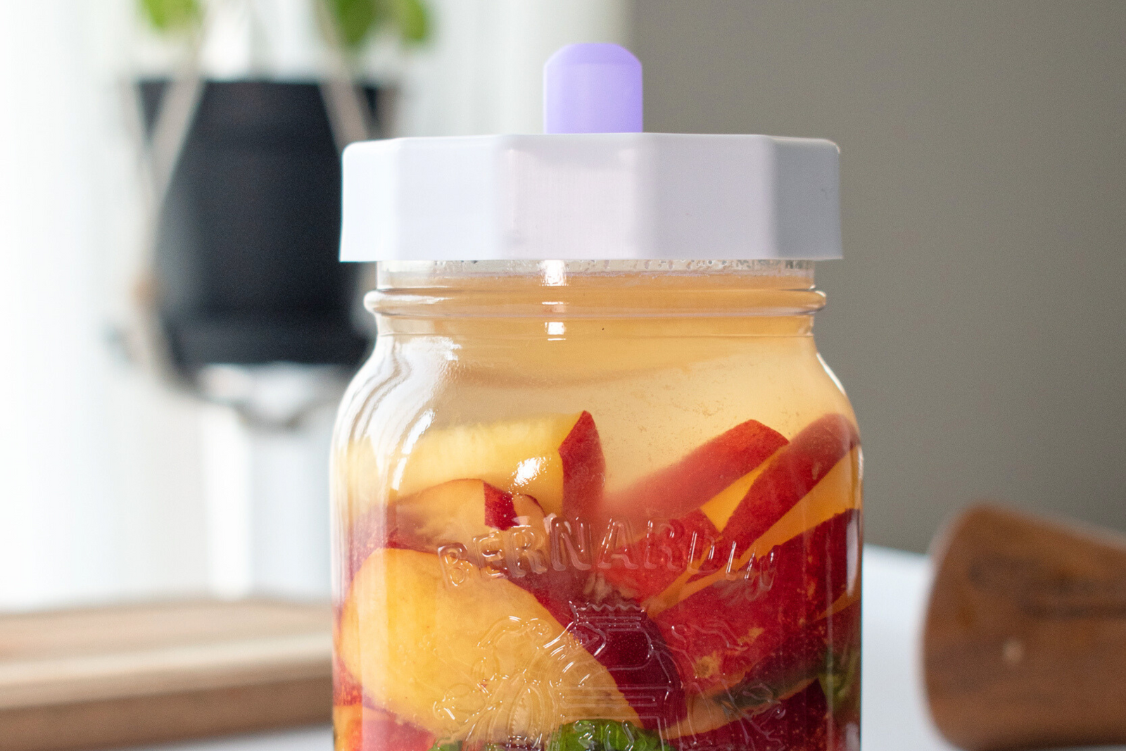 Fermented Nectarines with Basil & Honey