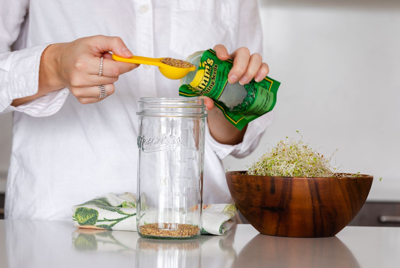 GROWING SPROUTS IN MASON JARS