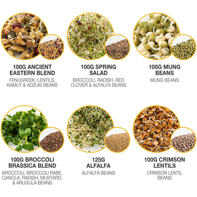 graphic of the variety of seeds included in this set