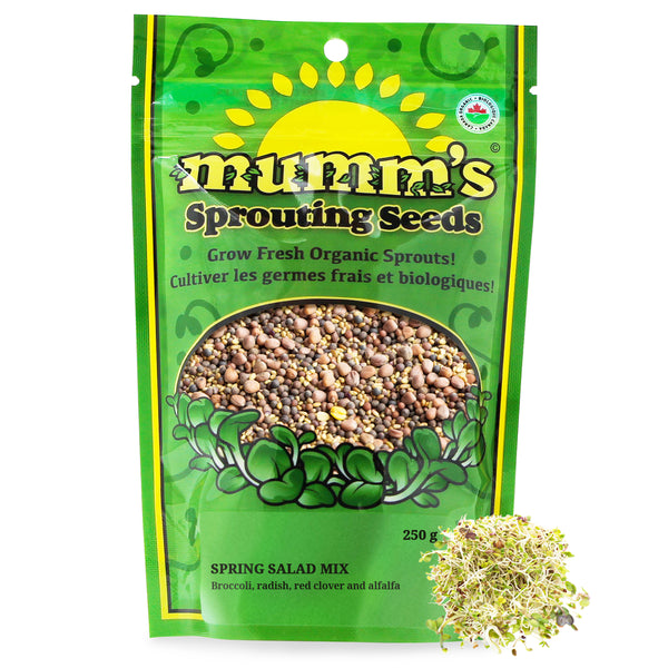 sprout出品 Mumm's Spring Salad Mix Sprouting Seeds - Masontops.com