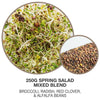 close up of sprouting salad mix