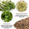 health benefits of sprouting salad mix